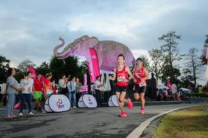 BIB: 
                            <button type="button" onclick="openModal(26529378)" class="btn btn-primary btn-sm float-right btn-popup" data-toggle="modal" data-target=".modal-high-quality">
                        <i class="fas fa-shopping-cart"></i> Add to Cart
                    </button>
                                            <button type="button" onclick="isThisMe(26529378, true)" class="btn btn-success btn-sm float-right btn-popup btn-isme hidden" data-toggle="tooltip" data-placement="bottom" title="นี่คือรูปของคุณใช่ไหม คลิกที่นี่เพื่อเอาเข้าอัลบั้ม">
                        <i class="fas fa-plus"></i> Add to album
                    </button>
                    <button type="button" onclick="isThisMe(26529378, false)" class="btn btn-warning btn-sm float-right btn-popup btn-isnotme hidden">
                        <i class="fas fa-ban"></i> Remove from album
                    </button>